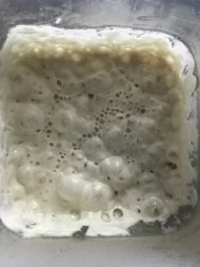 Poolish